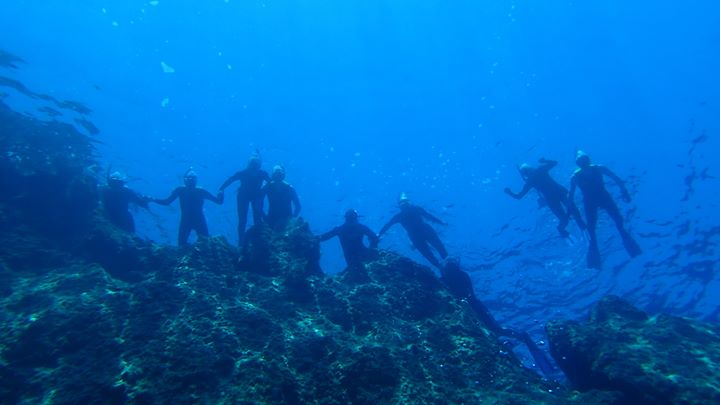 Favignana island Expedition , H2O Experience Swimtrekking & Free-diving, Egadi archipelago